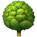 arbre emoji